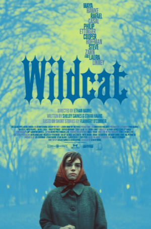 Wildcat - suffering explored through art